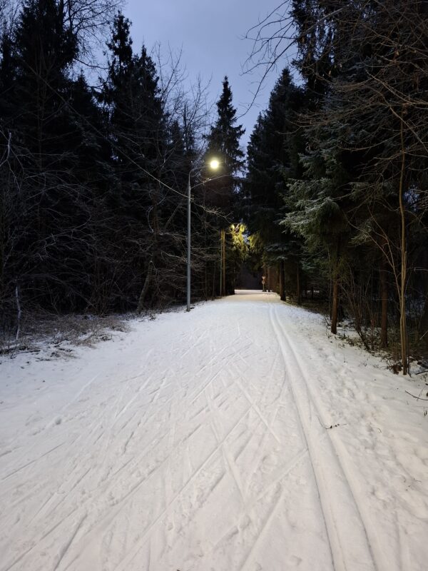 Трасса лыжероллерная Зеленоград Савелки, состояние на 22 декабря 2025 по отзыву, фото 7. 